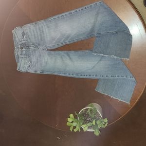 Ariat denim trouser perfect rise 25r